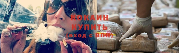 дмт Переславль-Залесский