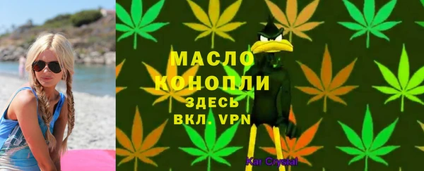 индика Пестово