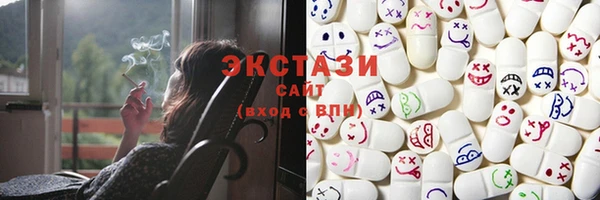 индика Пестово