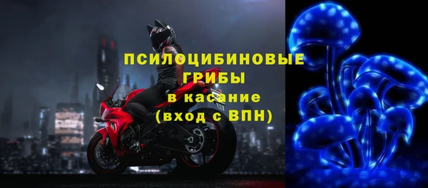 дурь Пересвет