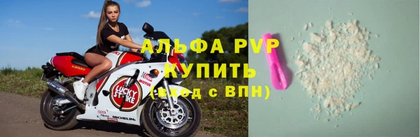 индика Пестово