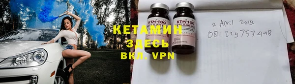 индика Пестово