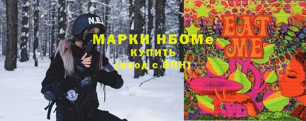индика Пестово
