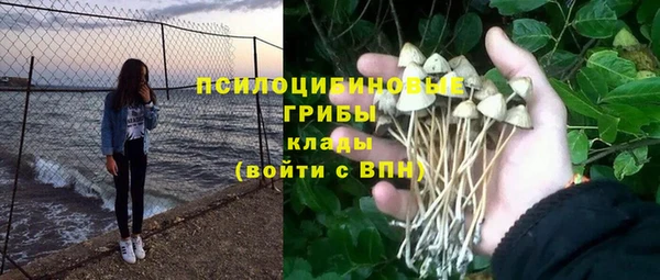 индика Пестово