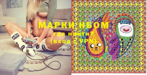 индика Пестово