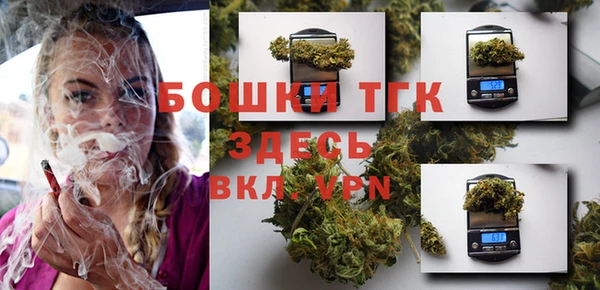 дурь Пересвет