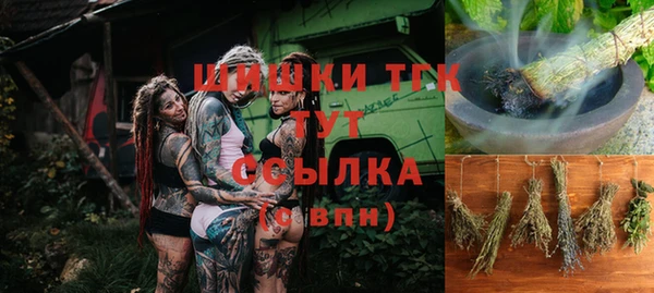 дурь Пересвет