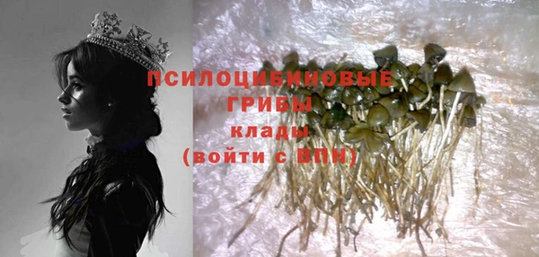 дмт Переславль-Залесский