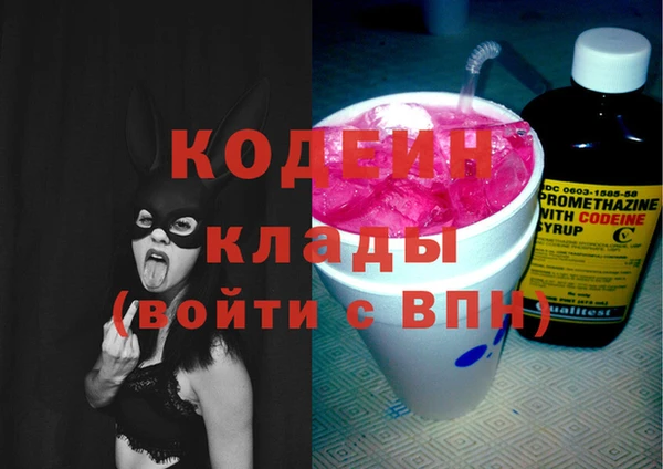 дурь Пересвет