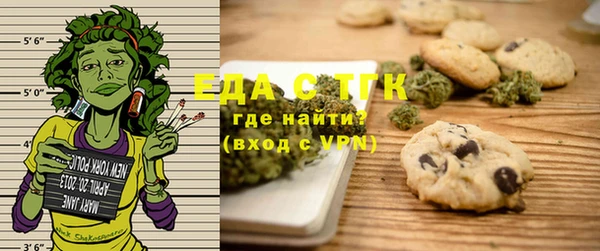 индика Пестово