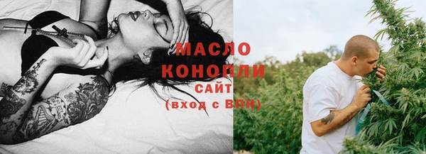 индика Пестово