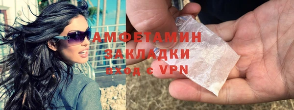 индика Пестово