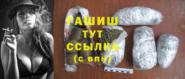 индика Пестово