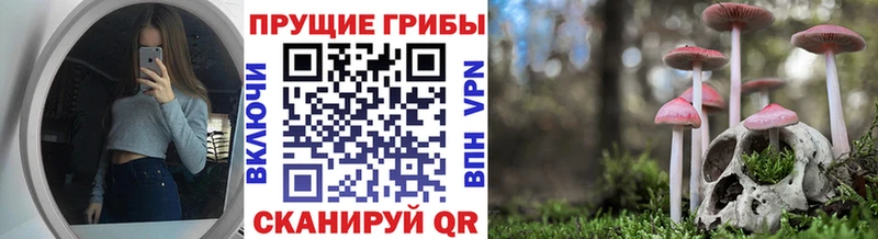 Псилоцибиновые грибы мицелий  наркошоп  Кимры 