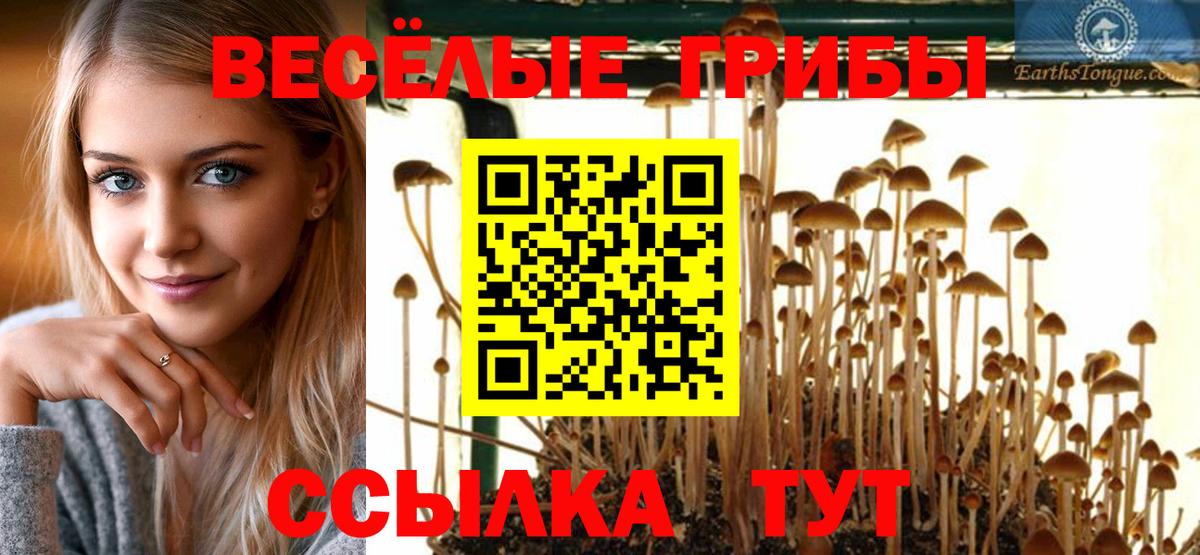 Галлюциногенные грибы ЛСД  где купить наркоту  Кимры  Псилоцибиновые грибы прущие грибы 