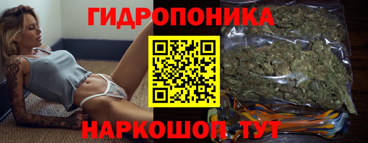 Канабис OG Kush Кимры